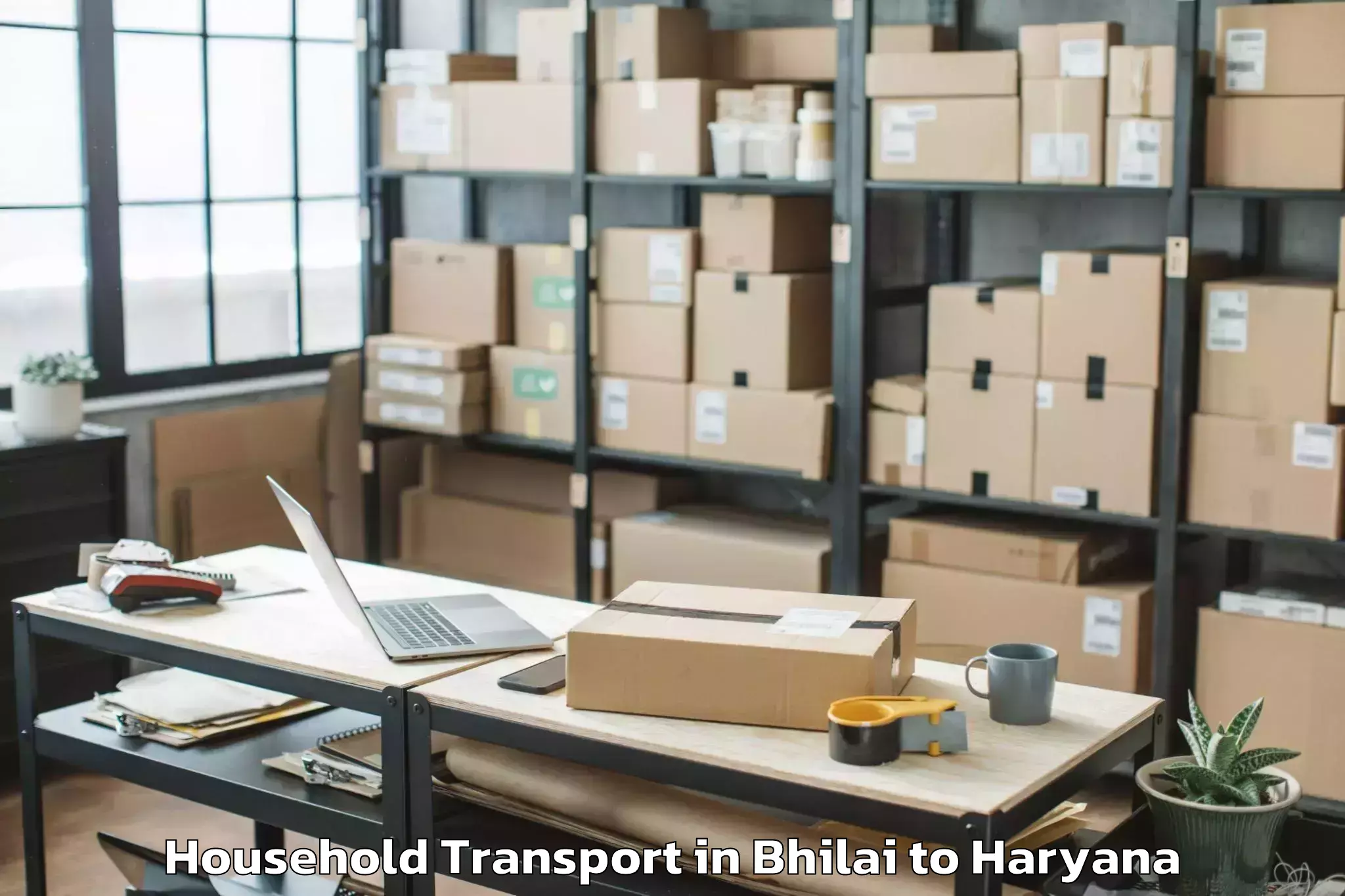 Trusted Bhilai to Sonipat Household Transport